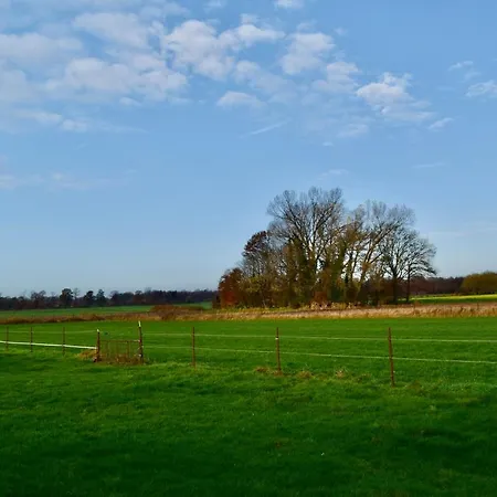 Bed And Bike * 라이네