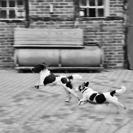 Bed And Bike 아파트 *