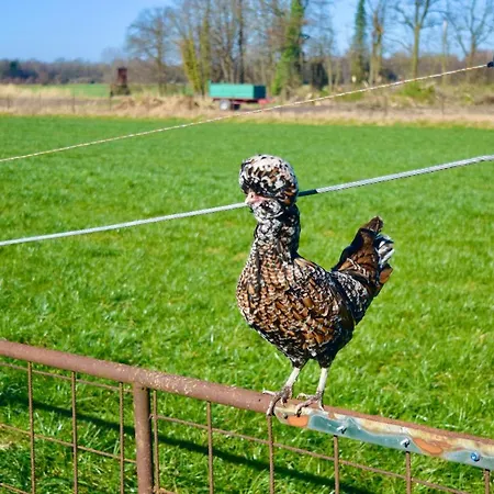 아파트 Bed And Bike *