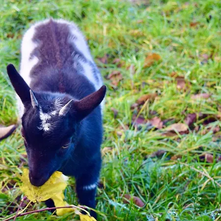 Bed And Bike 아파트 *