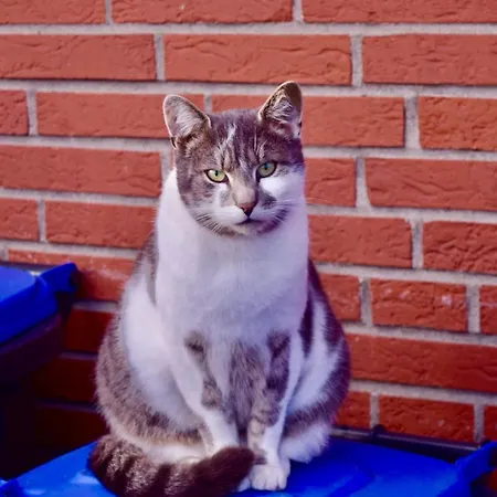 Bed And Bike Appartamento