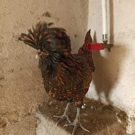 Bed And Bike * Rheine