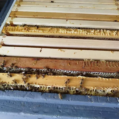 아파트 Bed And Bike