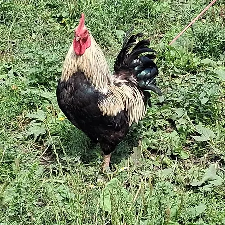 아파트 Bed And Bike *