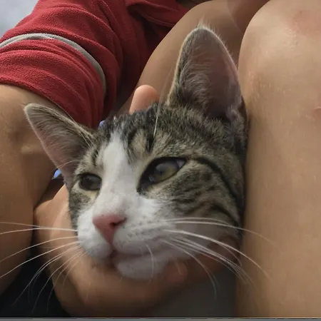 아파트 Bed And Bike 라이네