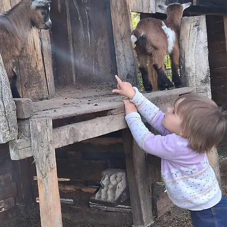 Bed And Bike * 라이네