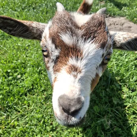 Appartamento Bed And Bike *