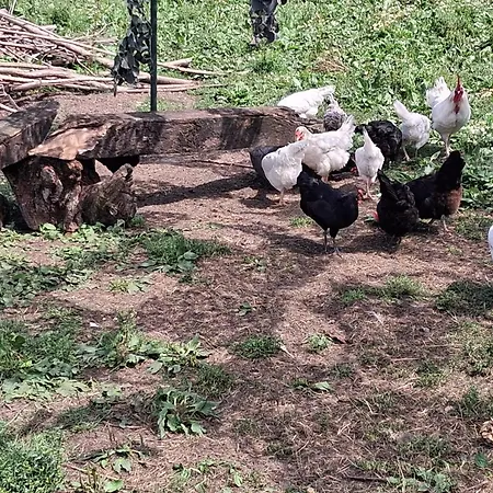 Bed And Bike Appartamento Rheine