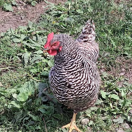 Bed And Bike 아파트