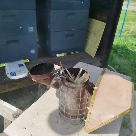 Bed And Bike 아파트 *