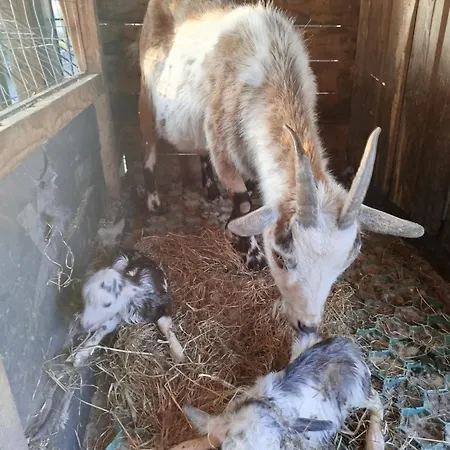 Appartamento Bed And Bike