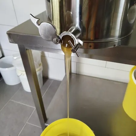 Bed And Bike 아파트 *