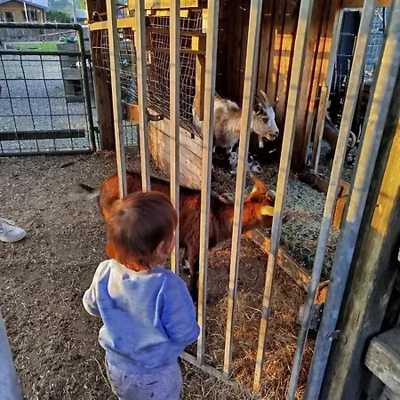 아파트 Bed And Bike *