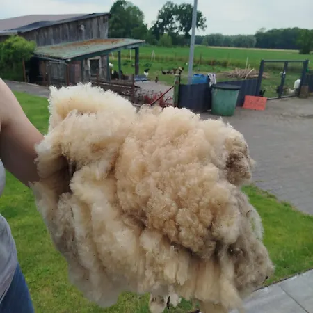 Bed And Bike 아파트 라이네