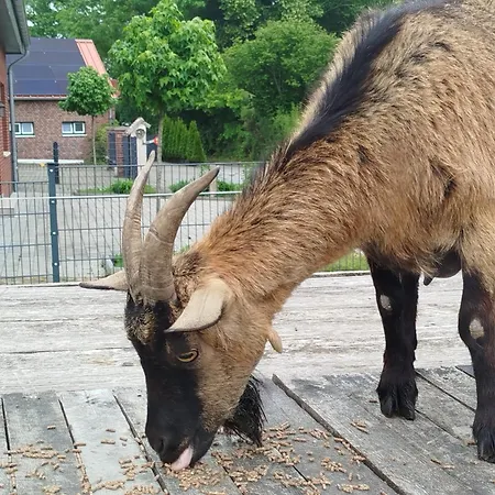 Bed And Bike Appartamento *