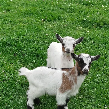 Appartamento Bed And Bike *