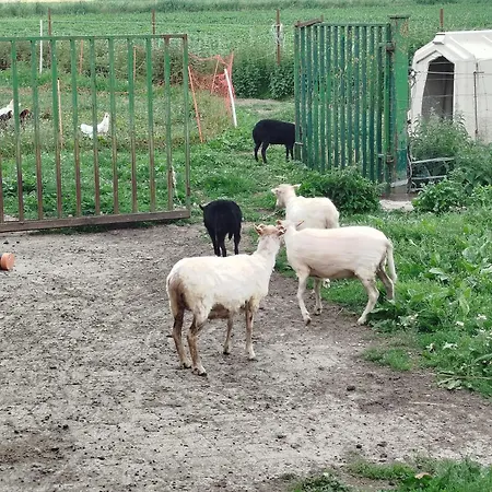 Bed And Bike * Rheine