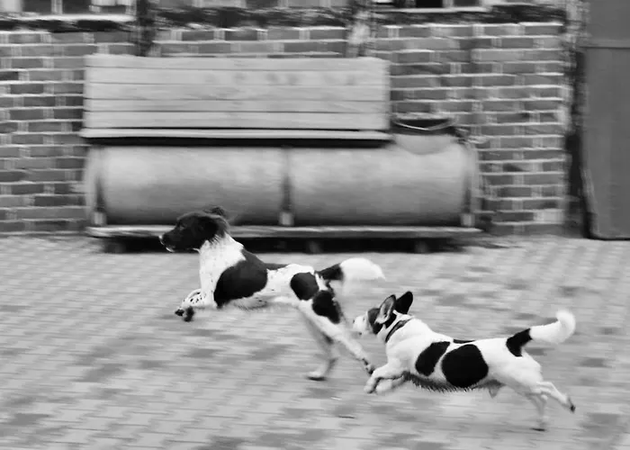 Bed And Bike Apartmán *