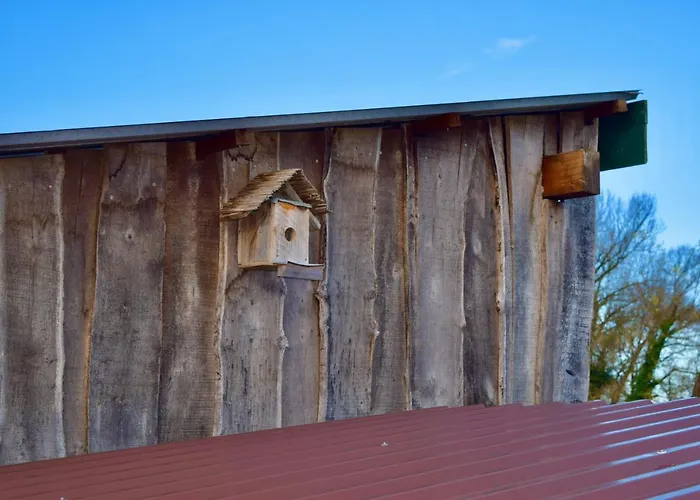 Bed And Bike Apartmán *