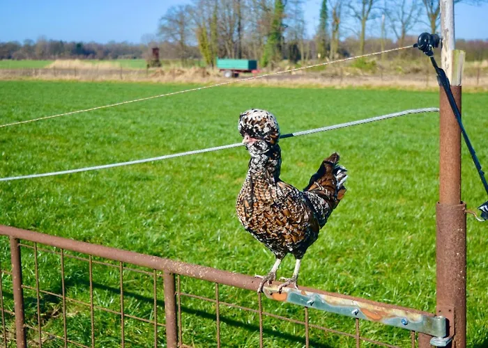 Apartmán Bed And Bike *