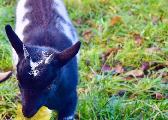 Bed And Bike Apartmán *