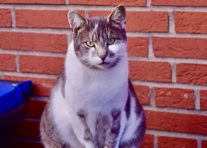 Bed And Bike Apartmán