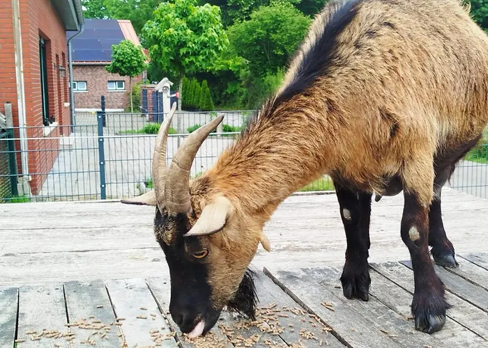 Apartmán Bed And Bike Rheine