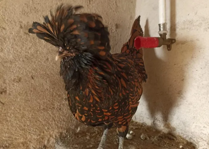 Bed And Bike * Rheine