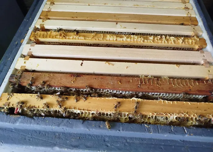 Apartmán Bed And Bike