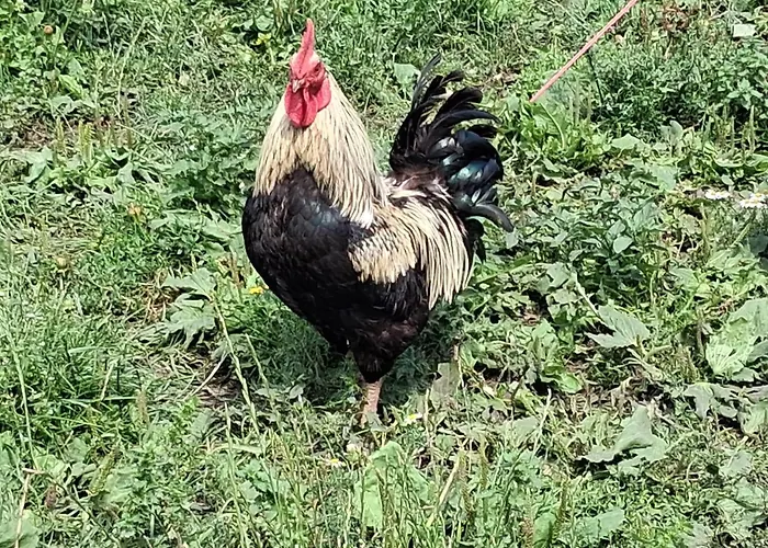 Apartmán Bed And Bike *