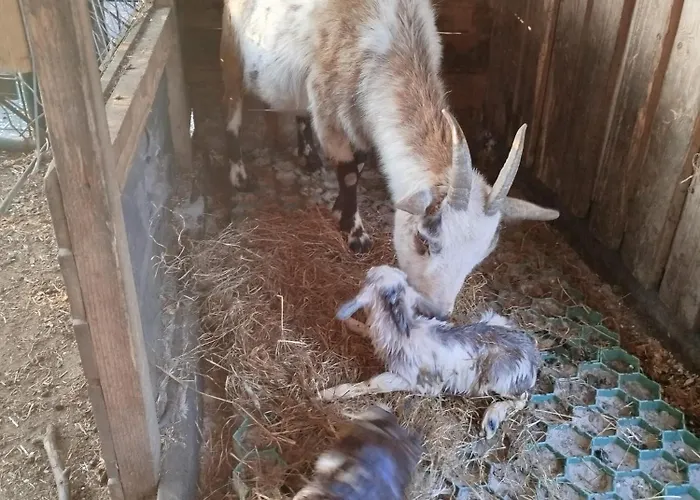Bed And Bike Apartmán Rheine