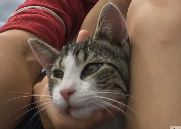 Appartamento Bed And Bike Rheine