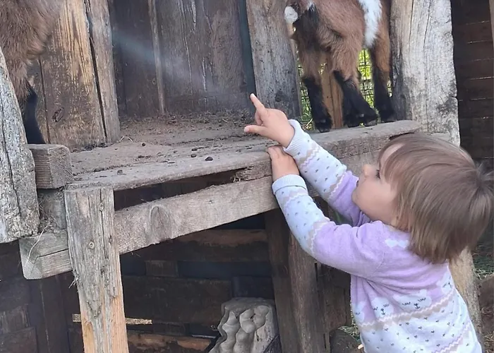 Bed And Bike * Rheine