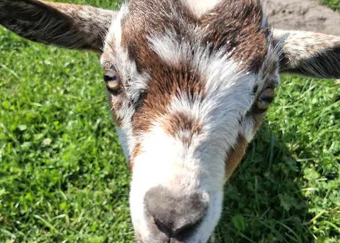 Apartmán Bed And Bike *