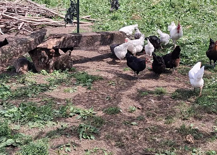 Bed And Bike Apartmán Rheine