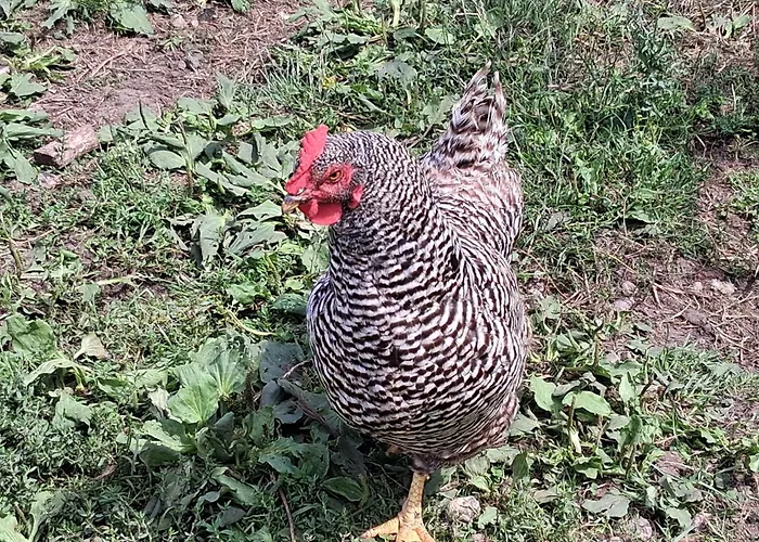 Bed And Bike Apartmán