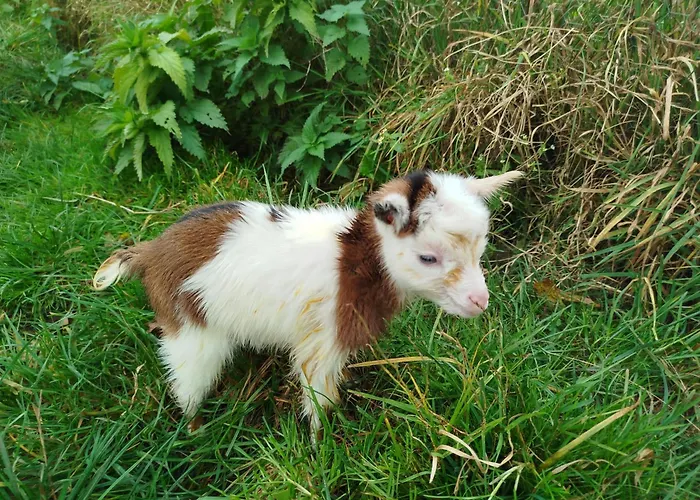 Apartmán Bed And Bike Rheine