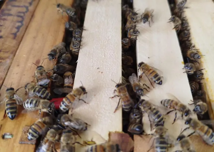 Bed And Bike Apartmán *