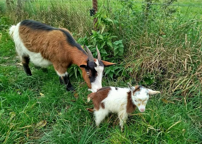 Bed And Bike * Rheine