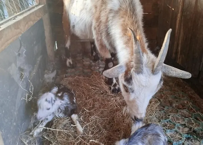 Apartmán Bed And Bike
