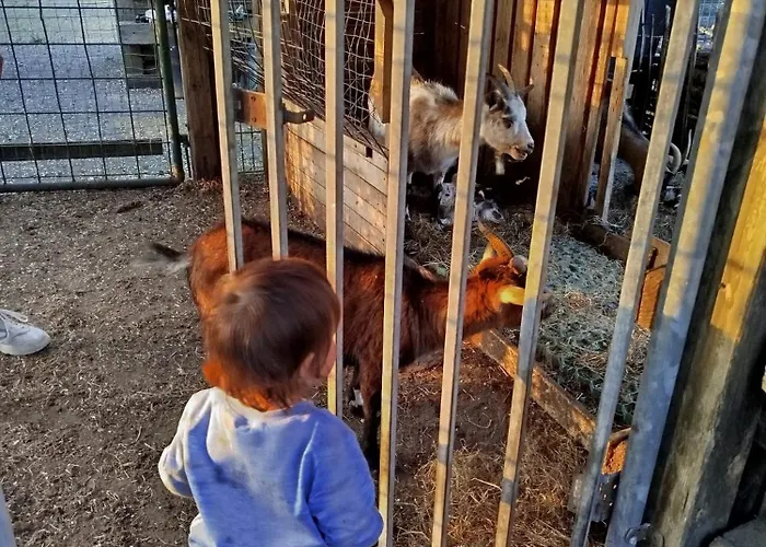Apartmán Bed And Bike *