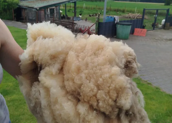 Bed And Bike Apartmán Rheine