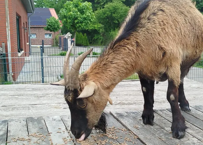 Bed And Bike Apartmán *