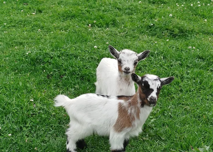 Apartmán Bed And Bike *