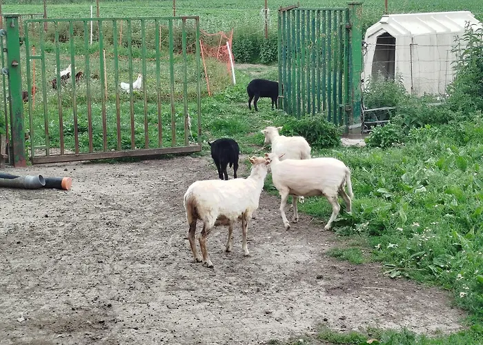 Bed And Bike * Rheine